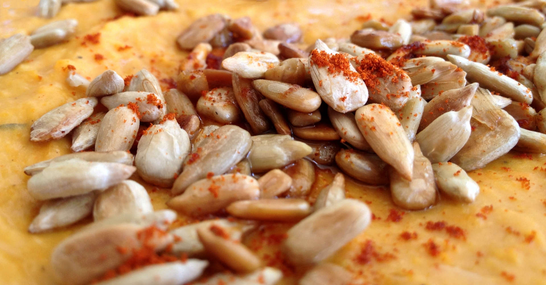 houmos-haricots-blancs-poivrons-tournesol-1