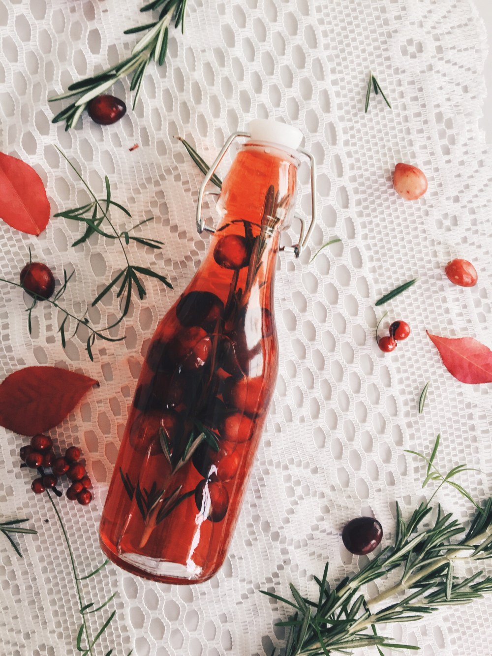 vinaigre-canneberges